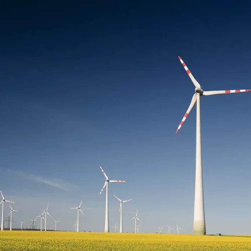 Få 800 kr. rabat på første elregning